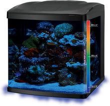 Load image into Gallery viewer, Coralife 32 Gallon Led Biocube Aquarium * Pickup Only * Special Order Only