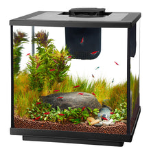 Load image into Gallery viewer, Aqueon LED Shrimp Aquarium Kits * Pickup Only * Special Order Only