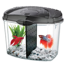 Load image into Gallery viewer, Aqueon Betta Bowl Aquarium Kits