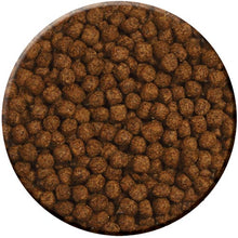 Load image into Gallery viewer, Zoo Med Aquatic Turtle Food Growth Formula