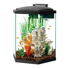 Load image into Gallery viewer, Aqueon Hexagon LED Aquarium Kits * Pickup Only * Special Order Only