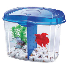 Load image into Gallery viewer, Aqueon Betta Bowl Aquarium Kits