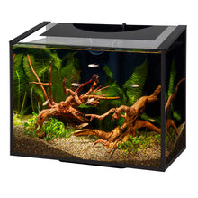 Load image into Gallery viewer, Aqueon Ascent Frameless Aquarium Kits * Pickup Only * Special Order Only