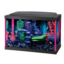 Load image into Gallery viewer, Aqueon NeoGlow LED Aquarium Kits * Pickup Only * Special Order Only