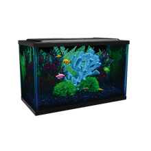 Load image into Gallery viewer, Glofish 10 Gallon Aquarium Kit * Pickup Only
