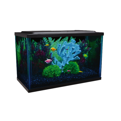 Glofish 10 Gallon Aquarium Kit * Pickup Only – AGE OF AQUARIUMS