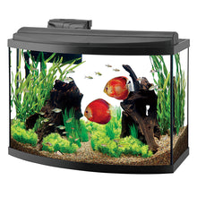 Load image into Gallery viewer, Aqueon Deluxe LED Bow Front Aquarium Kits * Pickup Only * Special Order Only