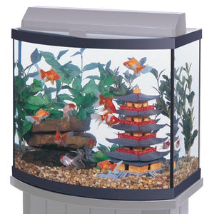 Aqueon Bowfront Aquariums Pickup Only Special Order Only AGE OF AQUARIUMS LIVE FISH AND PLANTS