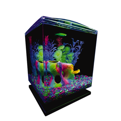 Glofish 1.5 Gallon Aquarium Kit