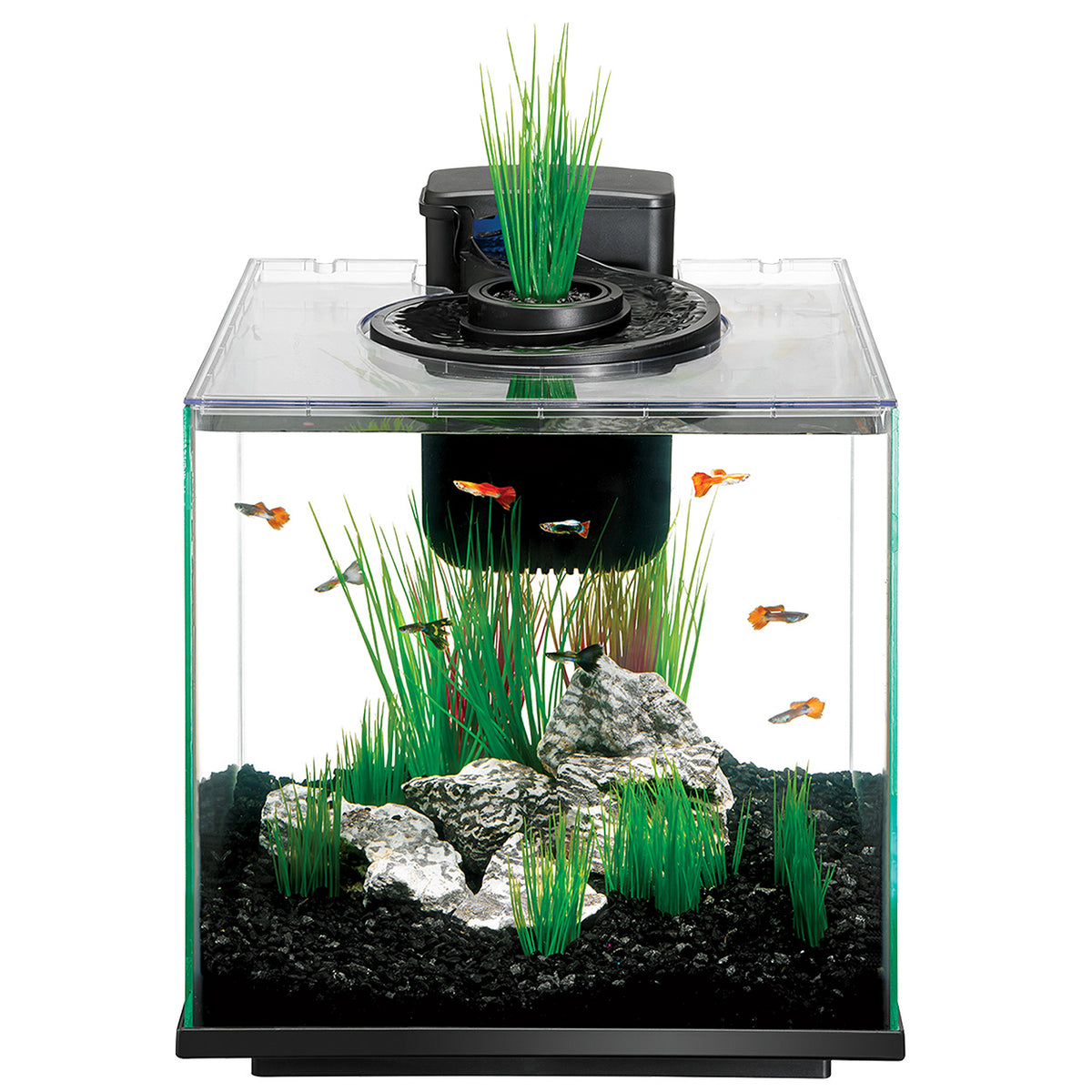 Aqueon Aqua Springs Aquarium Kit 8.8 Gallon * Pickup Only * Special Or ...