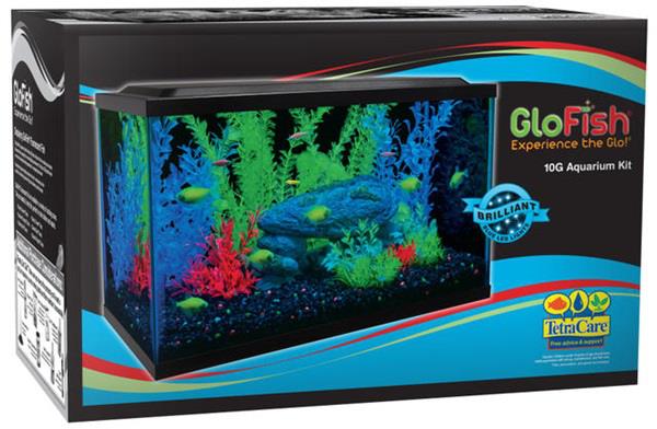 Glofish 10 Gallon Aquarium Kit * Pickup Only – AGE OF AQUARIUMS LIVE FISH AND PLANTS Glofish 10 Gallon Aquarium Kit * Pickup Only – AGE OF AQUARIUMS LIVE FISH AND PLANTS