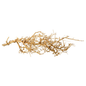 Underwater Treasures Bird Nest Wood