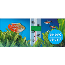 Load image into Gallery viewer, Fluval P Series Heaters P10,P25,P50
