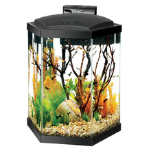 Load image into Gallery viewer, Aqueon Hexagon LED Aquarium Kits  * Pickup Only * Special Order Only
