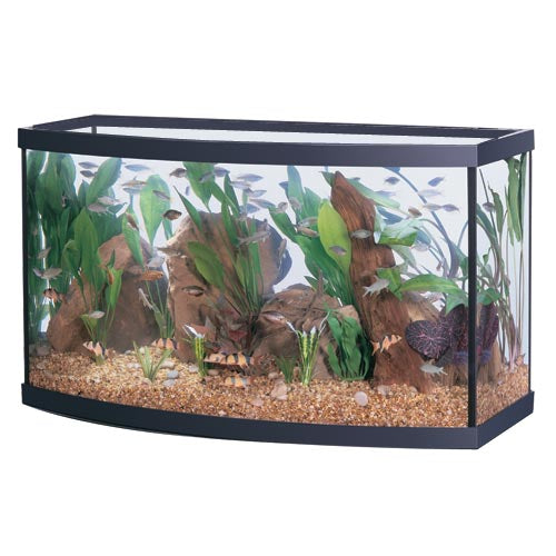 Aqueon Bowfront Aquariums * Pickup Only * Special Order Only – AGE OF ...