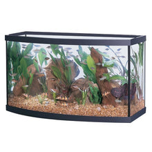 Load image into Gallery viewer, Aqueon Bowfront Aquariums * Pickup Only * Special Order Only
