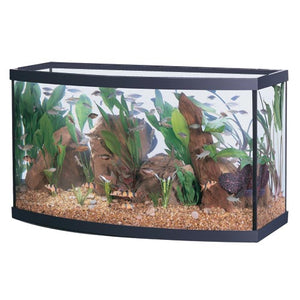 Aqueon Bowfront Aquariums * Pickup Only * Special Order Only