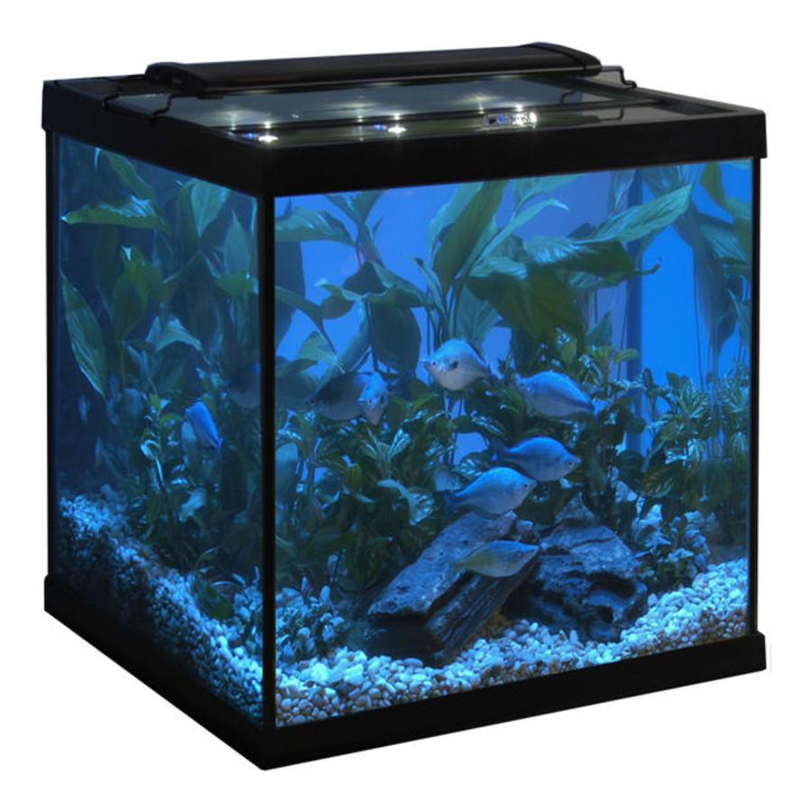 Marineland Cube Aquarium Tank (TANK ONLY) – AGE OF AQUARIUMS LIVE FISH ...